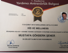 Fzt. Mustafa Gökberk Şener Fizyoterapi sertifikası