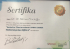 Dr. Dt. Merve Cincioğlu Diş Hekimi sertifikası