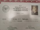 Dt. Beyhan Gök Diş Hekimi sertifikası