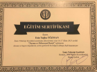 Psk. Esin Tuğba Tözman Psikoloji sertifikası