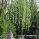 Aile Danışmanı Meryem Kurt 