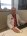 Uzm. Dr. Tuncay Altun Doktora Sor
