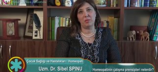 Homeopatinin çalışma prensipleri nelerdir?