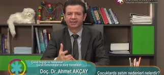 Çocuklarda astım nedenleri nelerdir?