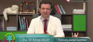 Yumurta alerjisi belirtileri nelerdir?