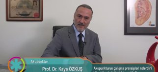 Akupunkturun çalışma prensipleri nelerdir? Vücut üzerindeki etkisi nasıldır?