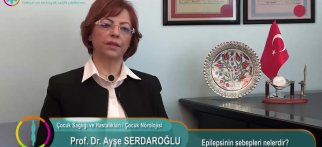 Epilepsinin sebepleri nelerdir?