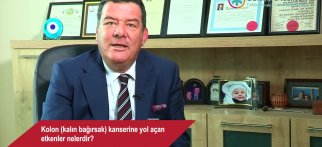Kolon (kalın bağırsak) kanserine yol açan etkenler nelerdir?