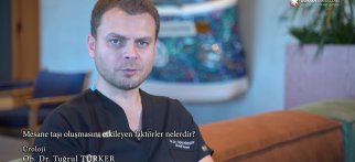 Mesane taşı oluşmasını etkileyen faktörler nelerdir?