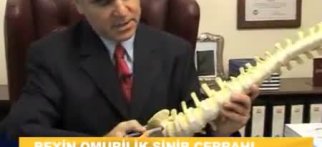 Youtube - Bel fıtığı nedir?