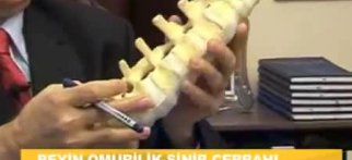 Youtube - Bel fıtığının belirtileri nelerdir?