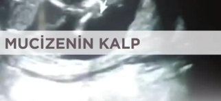 Youtube -  Mucizenin kalp atışları