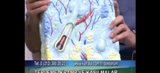 Youtube - Doktorum programı Elif Gürkan Part 1
