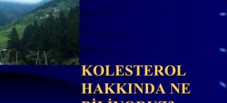Youtube - Kolestrol hakkında ne biliyoruz ?
