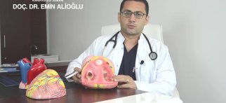 Youtube - Kalp nedir, nasıl çalışır ?