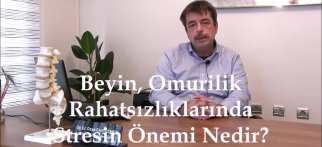 Youtube - Beyin ve omurilik rahatsızlıklarında stresin önemi nedir ?