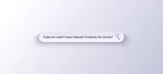 Youtube - Kulak kiri nedir? Görevleri nelerdir? Kimlerde sık görülür? (yeni)