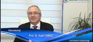 Lenf bezleri vücutta hangi organlarla ilişkilidir?