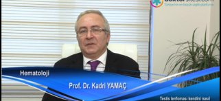 Testis lenfoması kendini nasıl belli eder, ne yapmalı?
