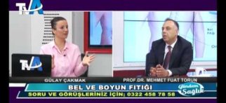 Prof.Dr. Mehmet Fuat Torun