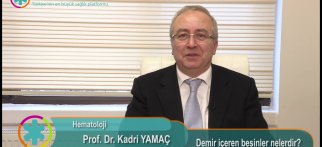 Demir içeren besinler nelerdir ?