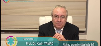 Akdeniz anemisi çeşitleri nelerdir ?