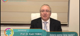 Akdeniz anemisi tanısı nasıldır ?