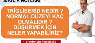 Trigliserid nedir ? Trigliserid kaç olmalıdır? Trigliserid zararlı mıdır ?