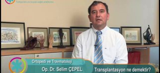 Transplantasyon ne demektir?