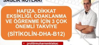 Hafıza ve dikkat eksikliği için 3 önemli takviye (Sitikolin, DHA, B12)