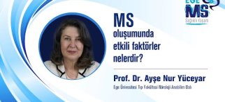 MS OLUŞUMUNDA ETKİLİ FAKTÖRLER NELERDİR?