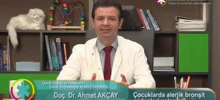 Çocuklarda alerjik bronşit nedenleri nelerdir?