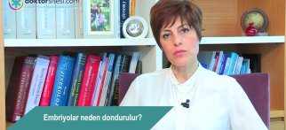 Embriyolar neden dondurulur?