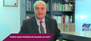 Sindirim sistemi hastalıklarında hacamatın yeri nedir?