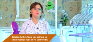 Süt dişinden kök hücre elde edilmesi ve saklanması için nasıl bir yol izlenmelidir?