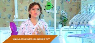Dişlerden kök hücre elde edilebilir mi?