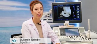Youtube - Ayrıntılı gebe ultrasonu nasıl uygulanır?