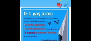 Youtube – Otizm ve Farklı Yaşam Evrelerinde Klinik Özellikler