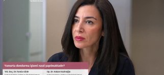 Youtube - Yumurta dondurma işlemi nasıl yapılmaktadır?