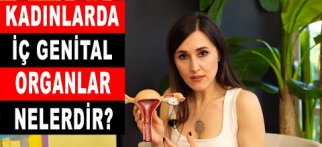 Kadınlarda İç Genital Organlar - Op. Dr. Burcu Akdağ Özkök BİLGİ KADINDA