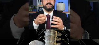 Boyun Fıtığı Nedir? Ne Zaman Doktora Gitmek Gerekir?
