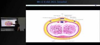 Pelvik Anatomi / Prof.Dr. Eray Çalışkan