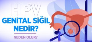 Genital Siğil (HPV) Nedir? Neden Olur? Genital Siğil Çeşitleri - Doç Dr. Nermin Köşüş