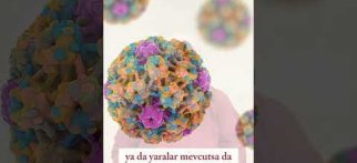 🌟 HPV Nedir?