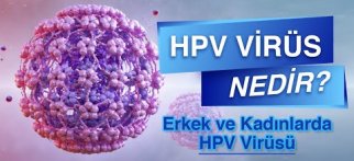 HPV Nedir? HPV Nedenleri ve Çeşitleri Nelerdir? HPV Kansere Dönüşür mü?
