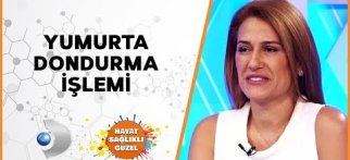 Yumurta Dondurma İşlemi | Op. Dr. Meltem Erik | Hayat Sağlıklı Güzel