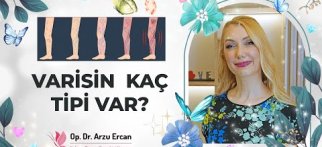 Varisin Kaç Tipi Var?