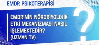 EMDR’nin Nörobiyolojik Etki Mekanizması Nasıl Işlemektedir?
