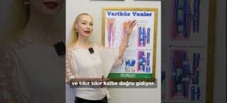 Toplardamar Nedir?