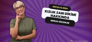 Kızlık Zarı Dikimi Hakkında Merak Edilenler, Antalya 2024